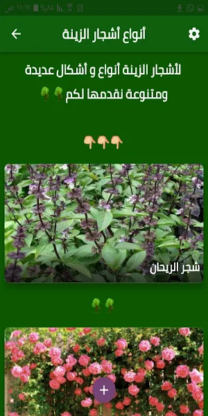 أنواع أشجار الزينة Screenshot 3