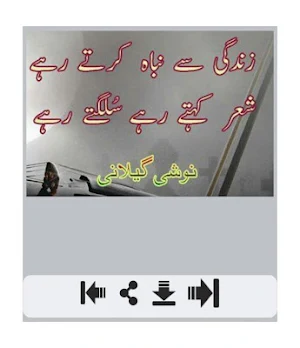 Zindagi Shayari Screenshot 3