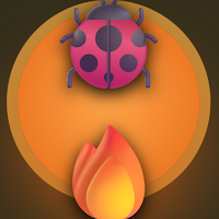Firefly Knight: Beetle Quiz