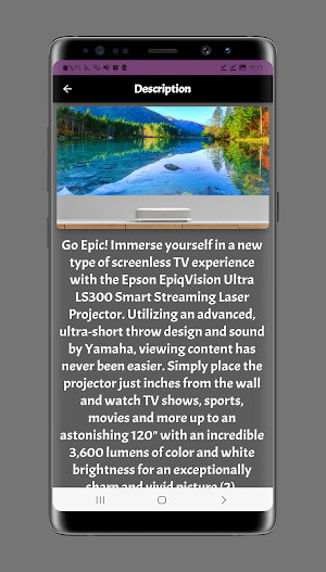 Epson EpiqVision LS300 Guide Screenshot 2