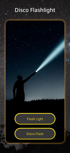 Disco Flashlight Screenshot 0