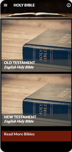 Holy Bible in English Screenshot 0
