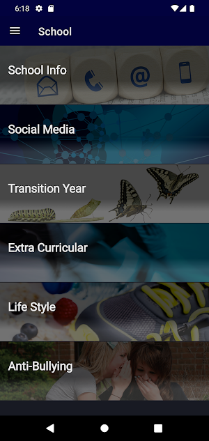 Mercy College Sligo Screenshot 1