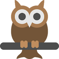 Owl Archetype