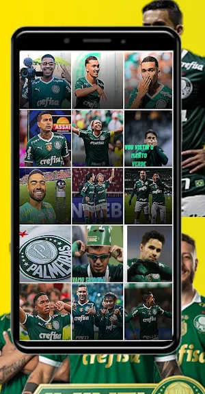 Figurinhas do Palmeiras Screenshot 3