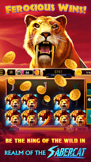 CATS Casino – Real Hit Slot Machine! Screenshot 1