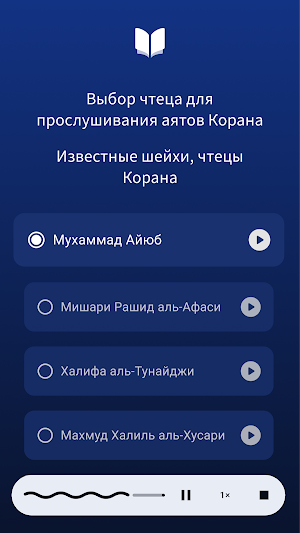 QuranOffline Screenshot 1