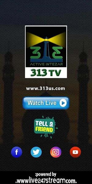313 TV Screenshot 1