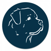 OrionVerse AI-Powered Learning