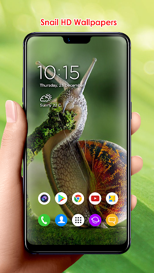 Snail HD Wallpapers Screenshot 3