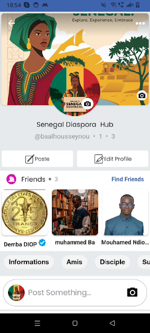 Senegal Diaspora Hub Screenshot 2
