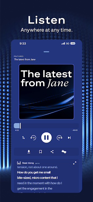 Citi Audio Screenshot 2