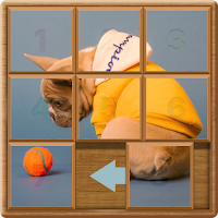 Number Slide Puzzle