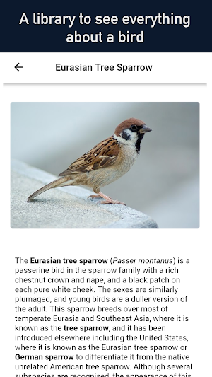 Bird Finder - All Birds Screenshot 0