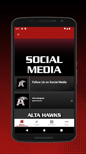 Alta Hawks Screenshot 3