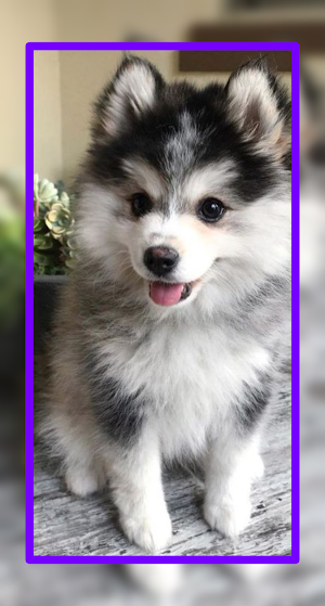 Baby Dogs Wallpaper HD Screenshot 2