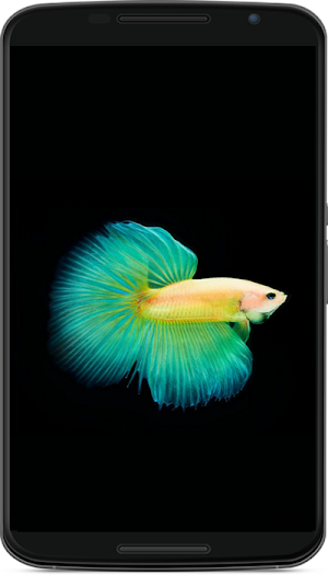 betta fish wallpaper Screenshot 3
