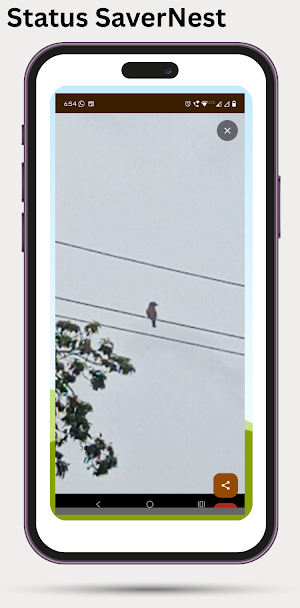 Status SaverNest Screenshot 2