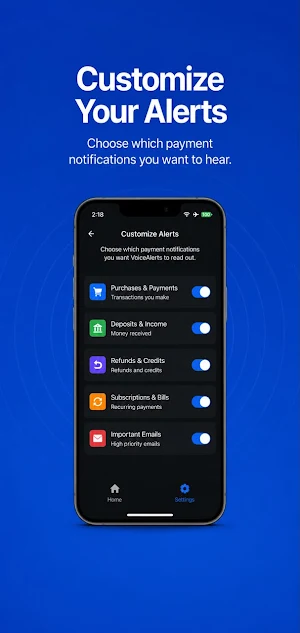 Payment Voice Alerts Screenshot 3