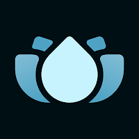 Digital SPA
