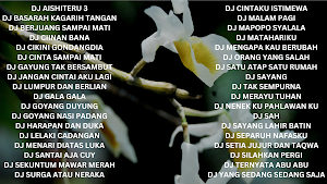 DJ Koplo Kendang Rampak Remix Screenshot 0