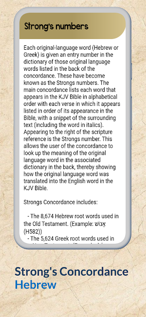 Strongs Concordance Dictionary Screenshot 3