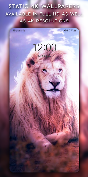 Live Wallpapers - 4K Wallpapers Screenshot 3