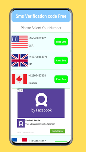 Temp Number: Verification SMS Screenshot 2
