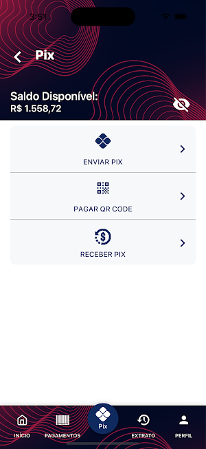 VivaBank Screenshot 2