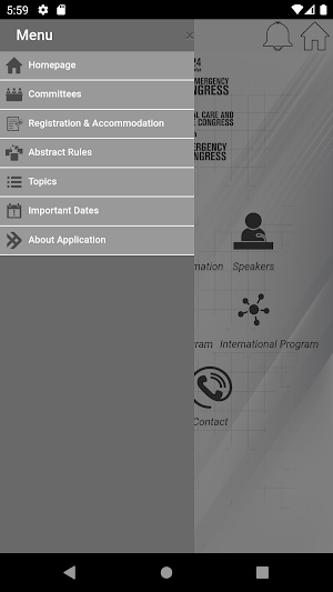 ICEM 2024 Screenshot 2