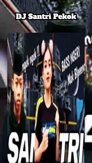 DJ Santri Pekok Screenshot 0