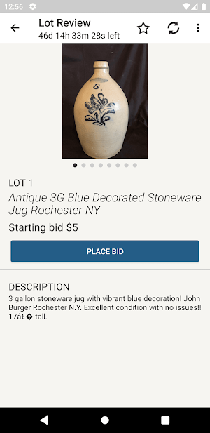 Bid on it Live Screenshot 2