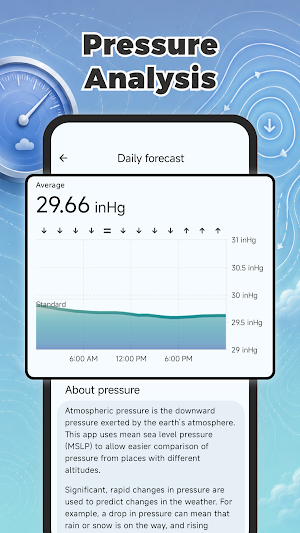 Real Weather : Global Forecast Screenshot 3