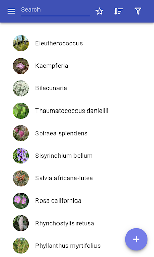 Medicinal herbs Screenshot 0