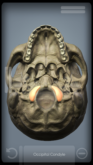 SKULL Graph Screenshot 3