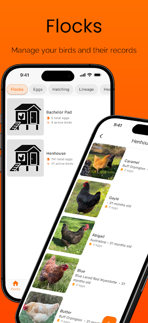 Feathrs Screenshot 2