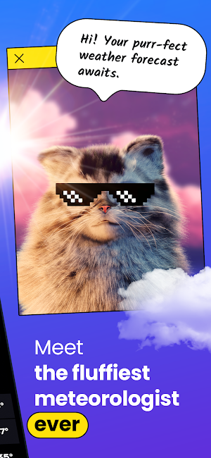 Weather & Cute Cat - OpenPet Screenshot 1