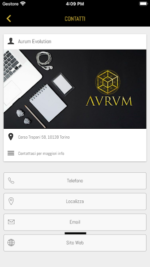 Aurum Evolution Screenshot 2