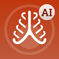 Anatomy Note Mindmap Flashcard