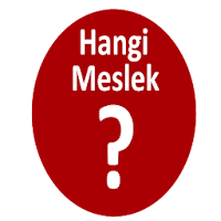 Meslek Grubu Testi (2021)