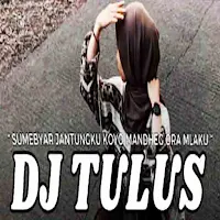 DJ Tulus