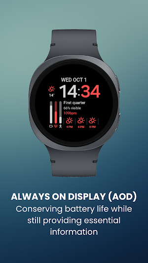 EXD185: Weather Pro Digital Screenshot 2