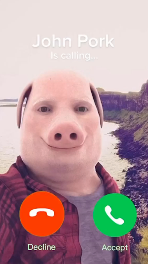 John Pork Is Calling... Screenshot 0