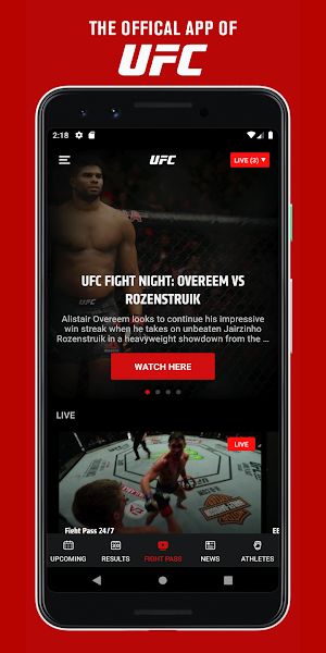 UFC Screenshot 0