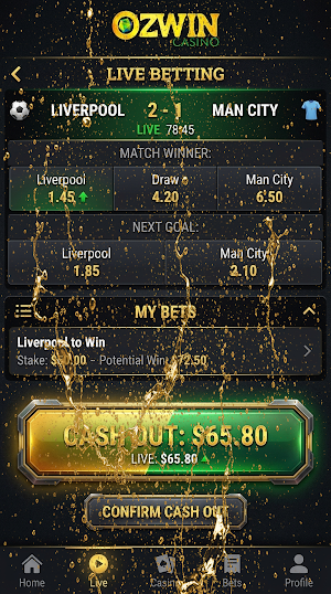 Ozwin Casino Screenshot 0