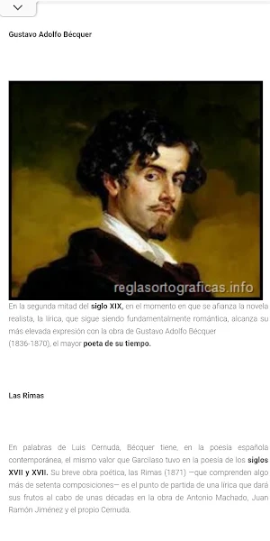Reglas Ortográficas Screenshot 2