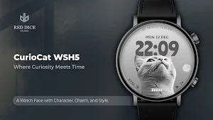 Reddice CurioCat WSH5 Screenshot 0