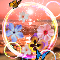 Sunset Beach Bubble- Wallpaper