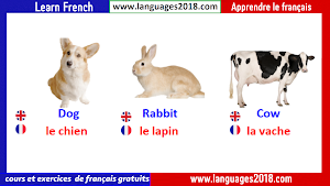 Learn French -Français Facile Screenshot 1