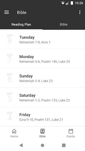 The Parish Church Screenshot 2